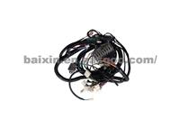 Shifeng Light Truck Wire Harness