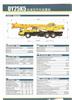 Sell QY25K5 truck crane