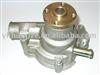 auto water pump