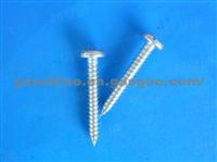 Slotted Pan Head Tapping Screws