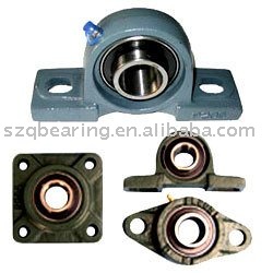 Pillow block bearing P6