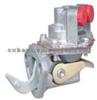 Fuel Pump Bcd 1812 25061529 25066378 2641309