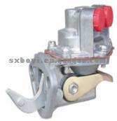 Fuel Pump Bcd 1812 25061529 25066378 2641309