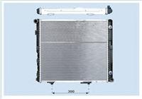 Sales Radiator Oem: 1245001003/ 2203