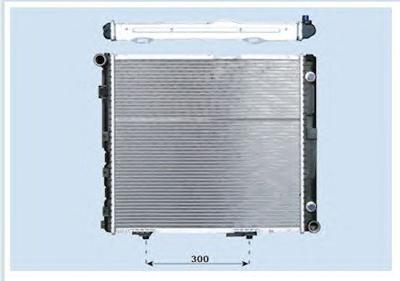 Sales Radiator Oem: 1245001003/ 2203