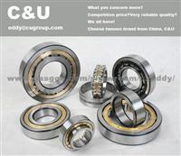 Cylindrical Roller Bearing GCr15/GCr15SiMn/GCr18Mo