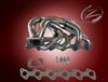 EXHAUST MANIFOLD FOR BMW MV30