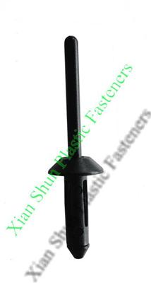Automobile Blind Rivet
