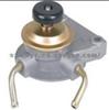 Fuel Pump  LN85