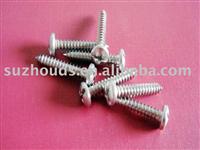 Stainless steel slotted screws