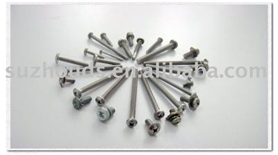 Stainless steel metric screw