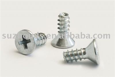 Phillips tapping  screws