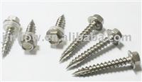 Hex Washer head Screws