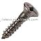 Carbon Steel tapping screw