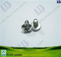 Phillips Truss Head Plastic Thread Forming Screw