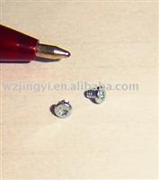 Micro Screw Pan Torx Zinc Clear Rohs M1.4x2