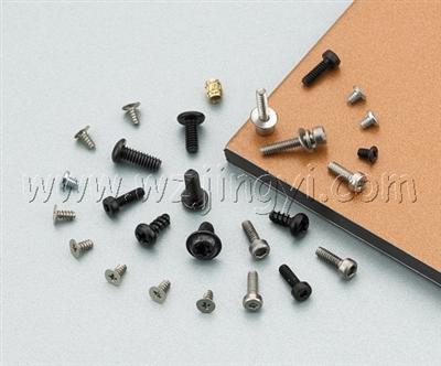 precise (precision) screws (various types of heads, recesses and threads)