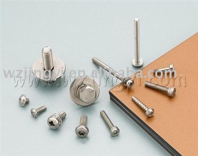 We are supplying various of stainless steel screw