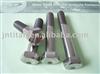 Titanium Metal Screw Din931