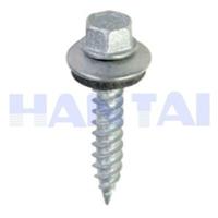 Roofing Screw