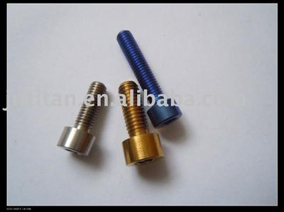 Titanium Metal Screw