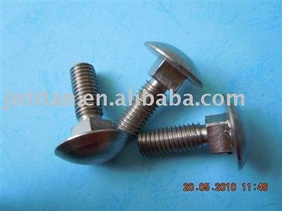 titanium carriage screw