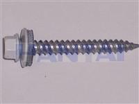 Roofing Screw