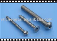 stainless steel secuirty screw  of sus304&sus316 