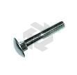 Carriage Bolts DIN603