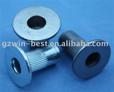 special rivet nut