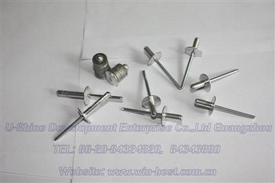 large flange head rivet
