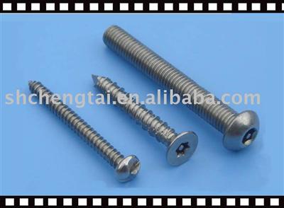 stainless steel secuirty screw  of sus304&sus316