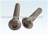 Hex Socket Round Head Screw  ISO7380