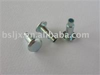 Rivet nut fastener