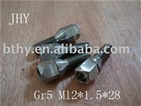 Gr5 Titanium Auto Parts Titanium Bolt M12*28