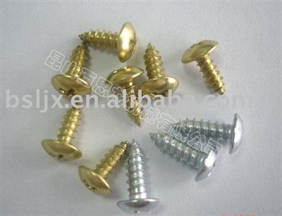 Cross recessed pan head tapping screws