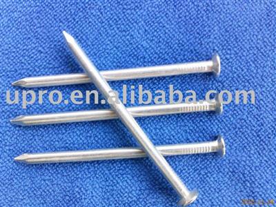 Hot dipped galvanized common nails