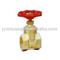 Brass plated zinc alloy gate valve