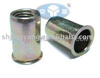 samll head rivet nut