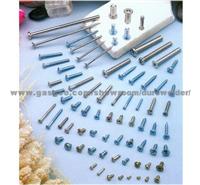 Stainless Steel Screws with Sus 304, 316, 310 Ect