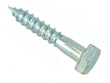 Hex lag Screw (stainless)