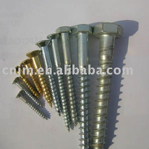 DIN571 Hex lag screw