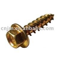 ASTM A307  Hex lag screw