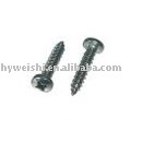 stainlees steel pan tapping screw