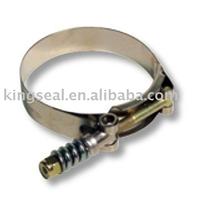 Sping T-Bolt Clamps