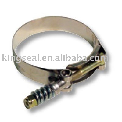 Sping T-Bolt Clamps