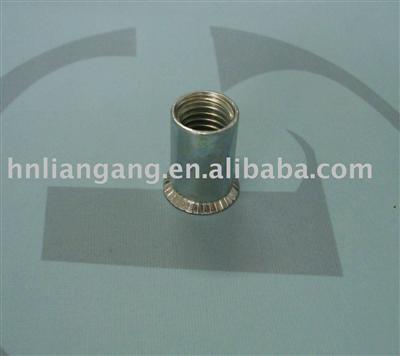 Countersunk rivet nut