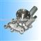 NISSAN MAZDA  water pump