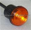 SP30 LED Side Mark Lamp