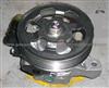 56110-RFE-003 Honda Odyssey 05 Power Steering Pump